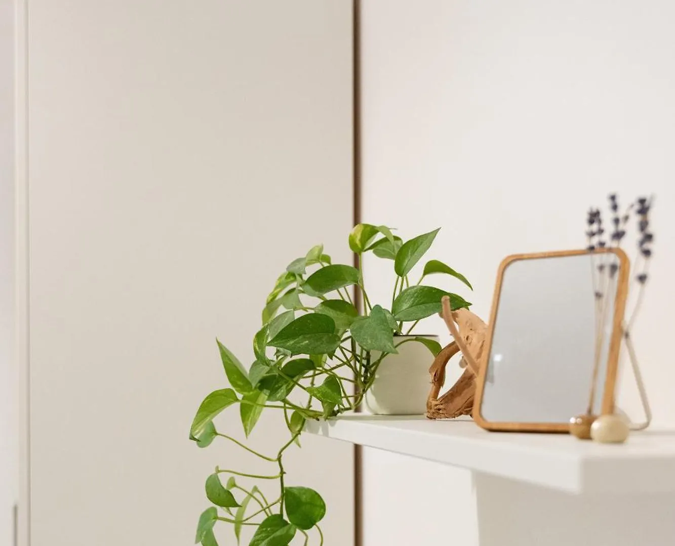 Niu Lux Apartments Genoa